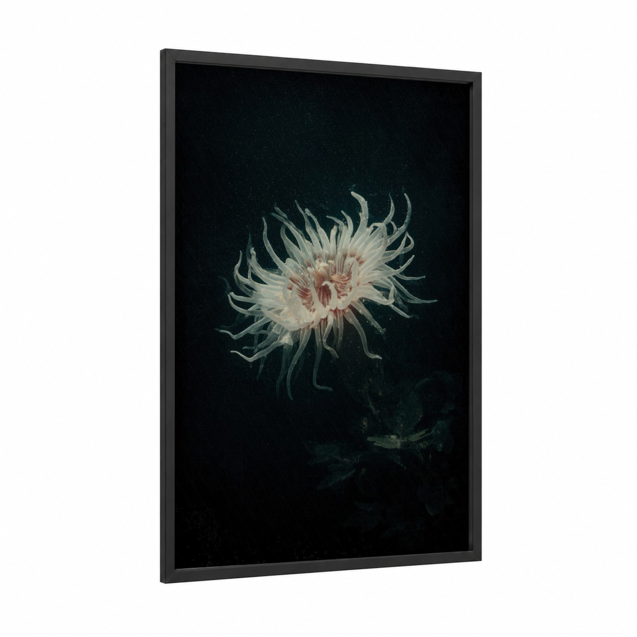 Luminous Sea Anemone framed art print — black wood frame — blue and white and black and white palette