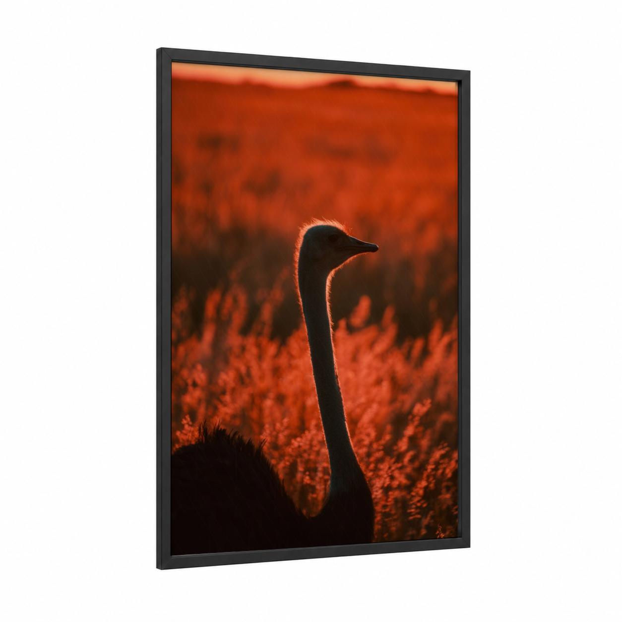 Golden Hour Ostrich framed art print — black wood frame — orange and black palette
