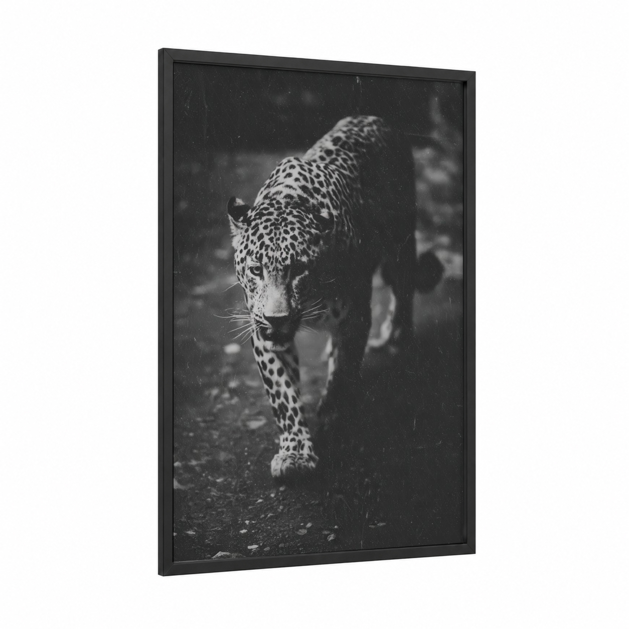 Stalking Leopard framed art print — black wood frame — black and white palette