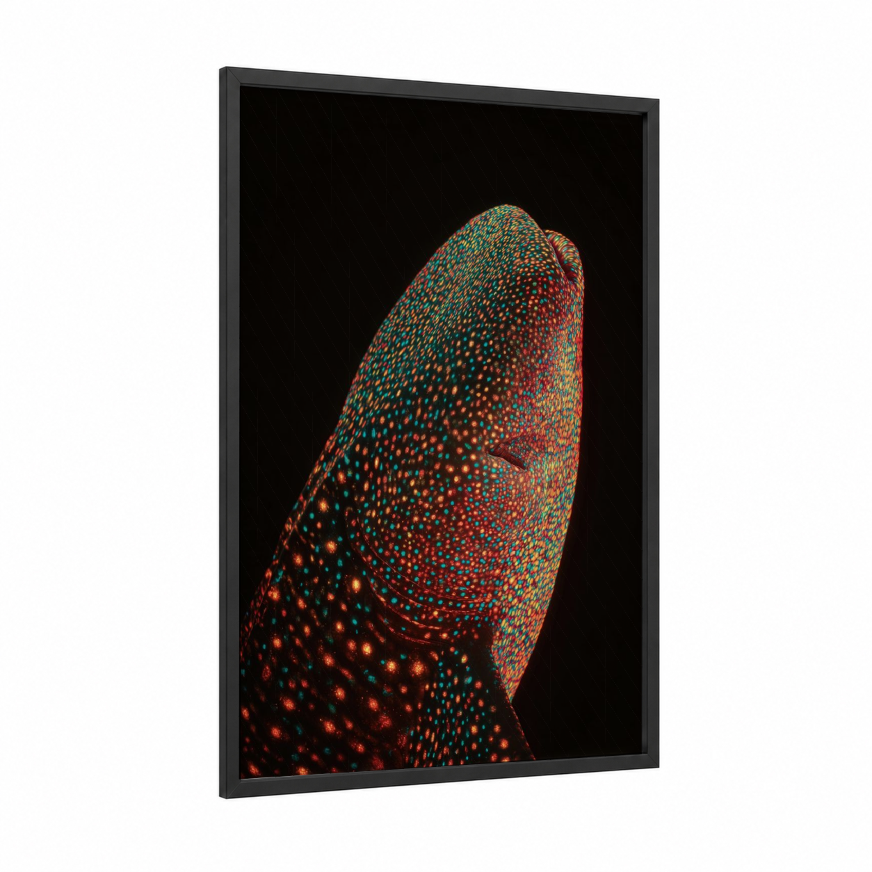 Crimson Whale Shark framed art print — black wood frame — red and teal palette