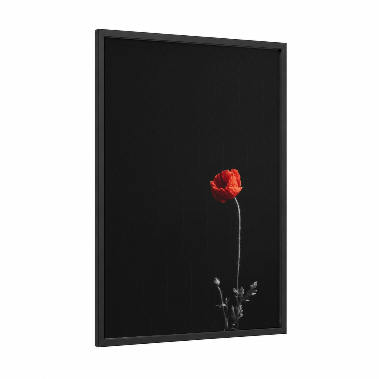 Crimson Poppy Solitude framed abstract flower print — black wood frame — red and black palette