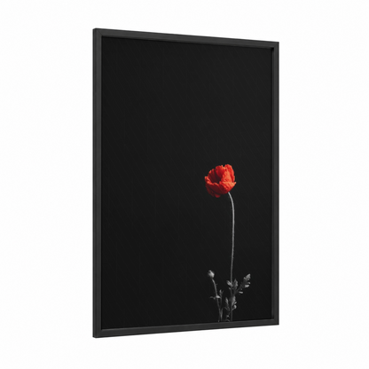 Crimson Poppy Solitude framed abstract flower print — black wood frame — red and black palette