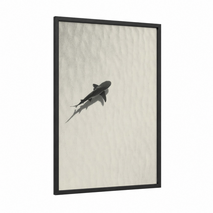 Gliding Sand Tiger framed sand tiger shark print — black wood frame — black and white and cream palette