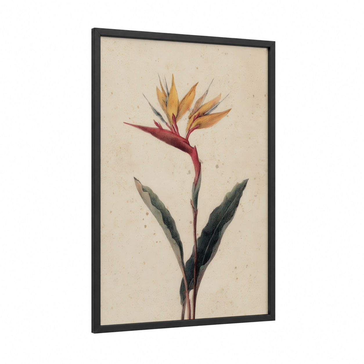 Tropical Bird Paradise framed birds of paradise print — black wood frame — gold and maroon palette