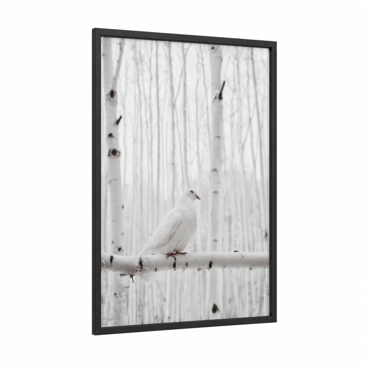 Snowy Dove framed art print — black wood frame — white and gray palette