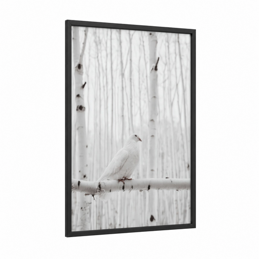 Snowy Dove framed art print — black wood frame — white and gray palette