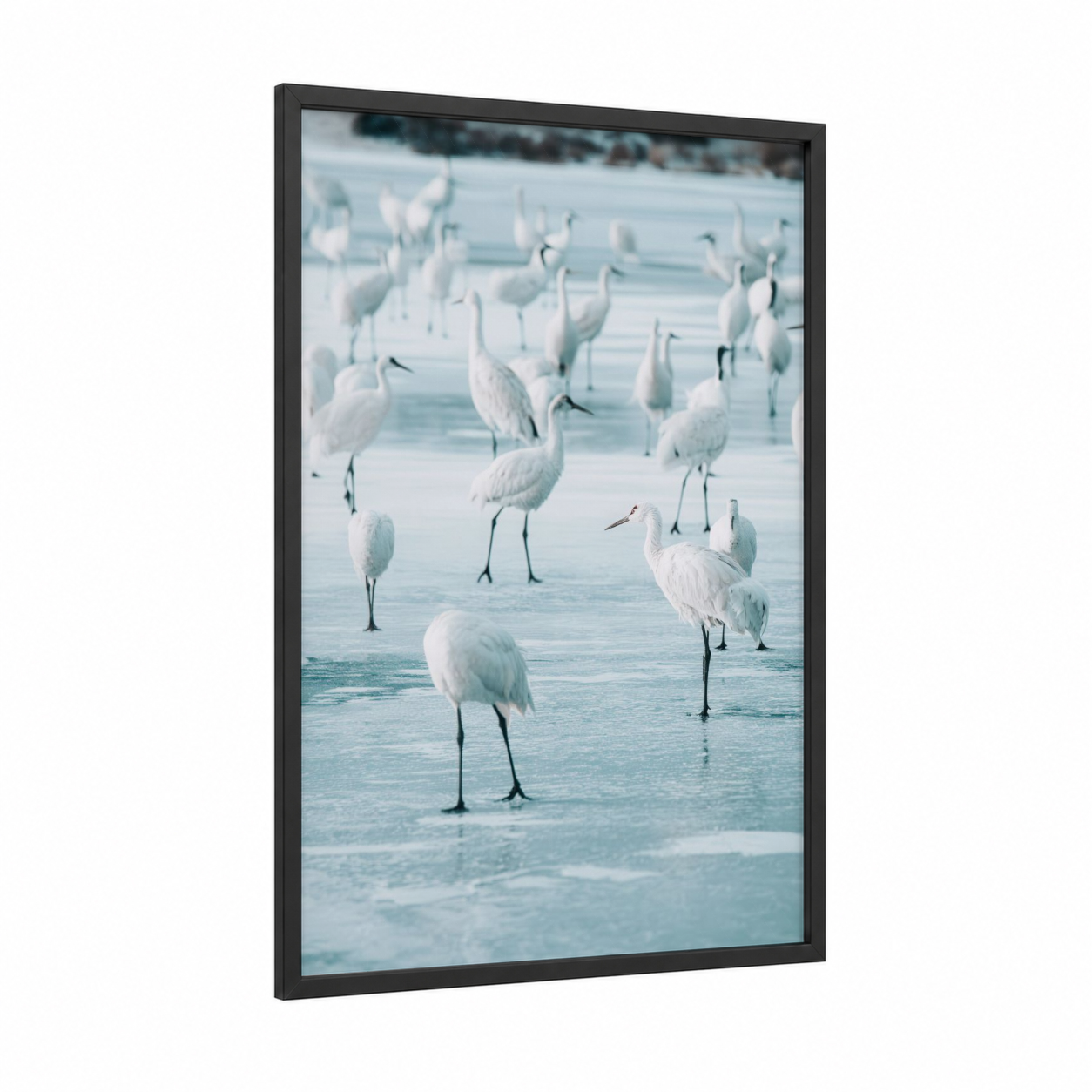 Frozen Lake Cranes framed art print — black wood frame — blue and white and white palette