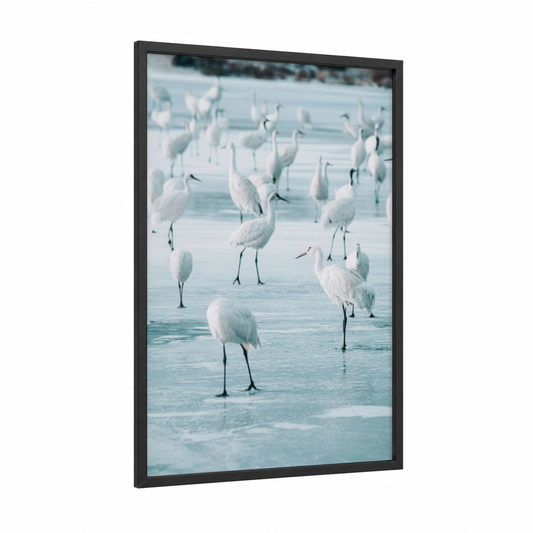 Frozen Lake Cranes framed art print — black wood frame — blue and white and white palette