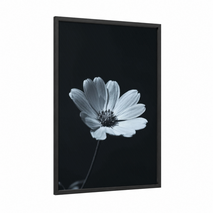 Monochrome Daisy framed abstract flower print — black wood frame — black and white and gray palette