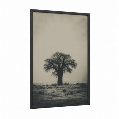 Solitary Baobab framed baobab tree print — black wood frame — dove gray and black and white palette