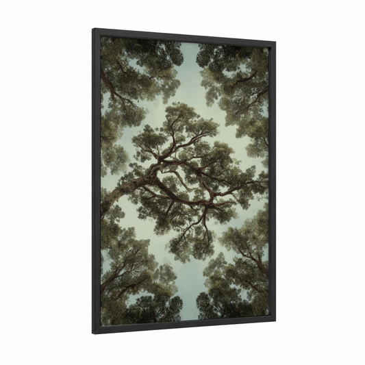 Canopy Kauri framed kauri tree print — black wood frame — sage green and gray palette