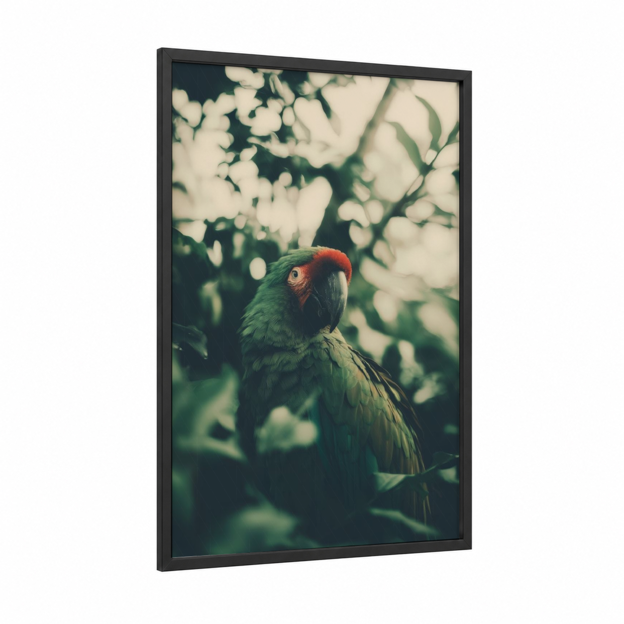 Crimson Parrot framed safari parrots print — black wood frame — green and red palette