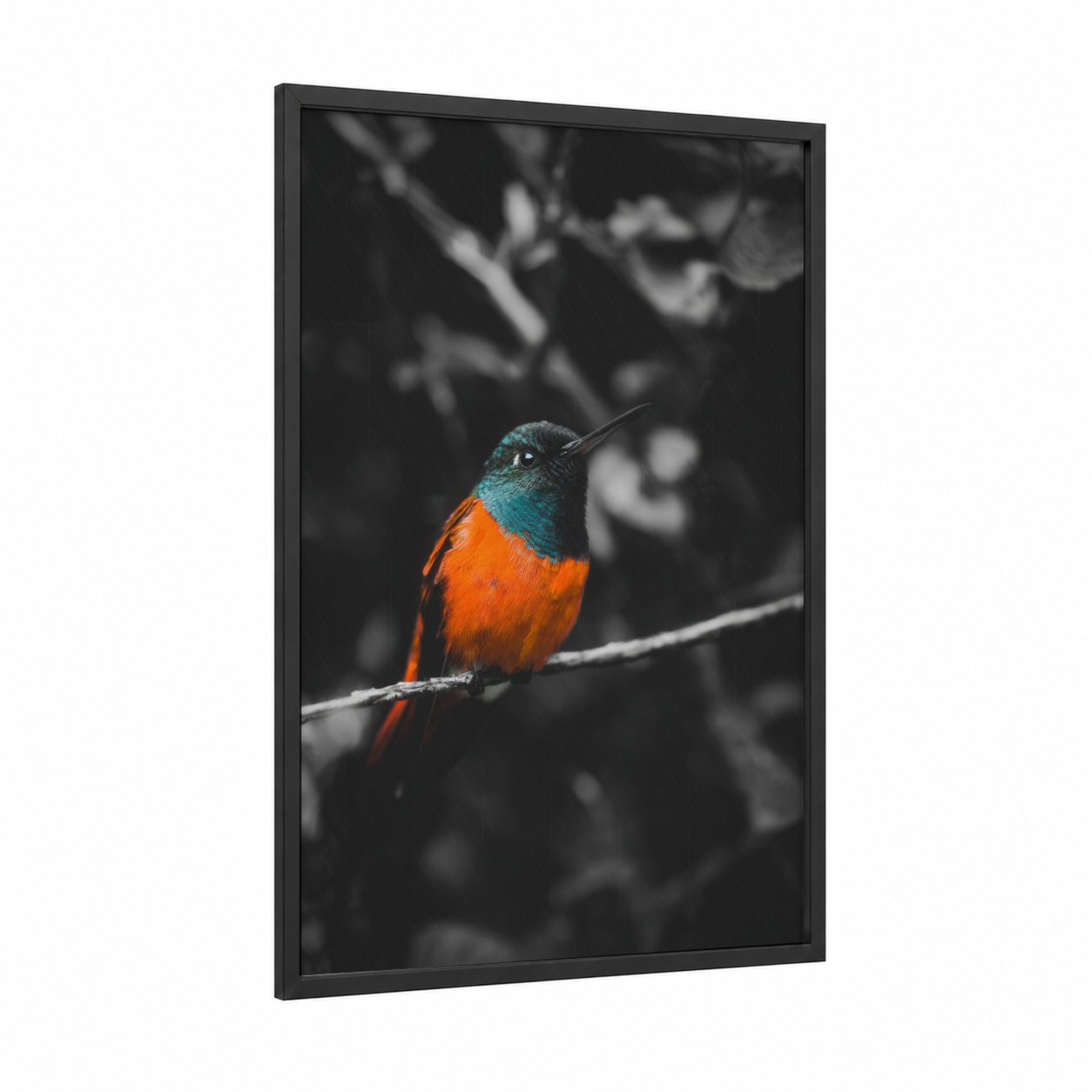 Turquoise Hummingbird framed art print — black wood frame — turquoise and orange palette