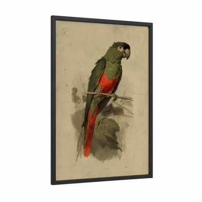 Crimson Macaw Portrait framed safari parrots print — black wood frame — green and red palette