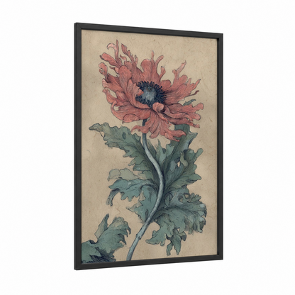 Pink Anemone Bloom framed sea anemone print — black wood frame — salmon pink and sage green palette