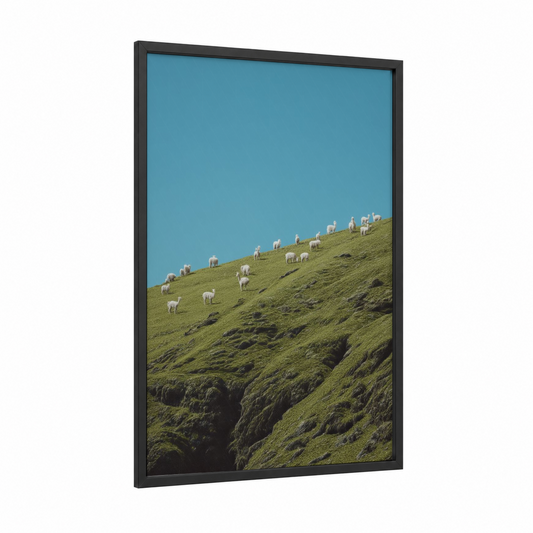 Hillside Alpacas framed art print — black wood frame — teal and light green palette