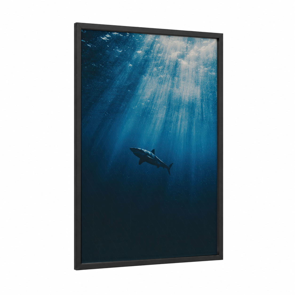 Solitary Basking Shark framed art print — black wood frame — dark blue and blue and white palette