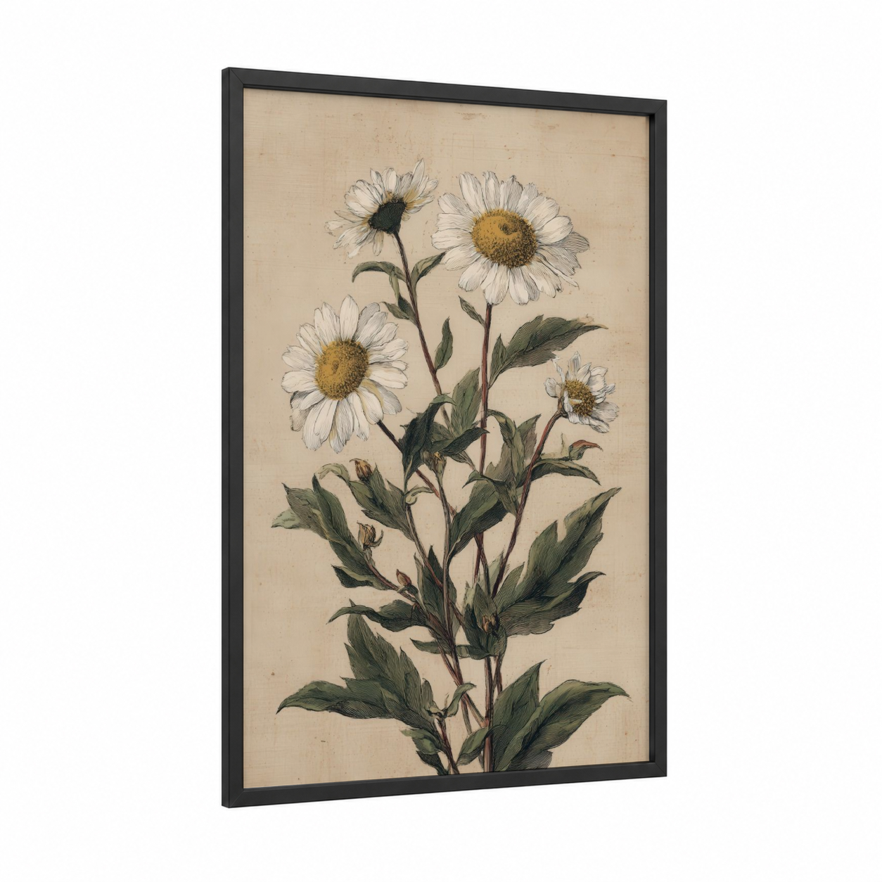 Botanical Daisy Study framed art print — black wood frame — cream and gold palette