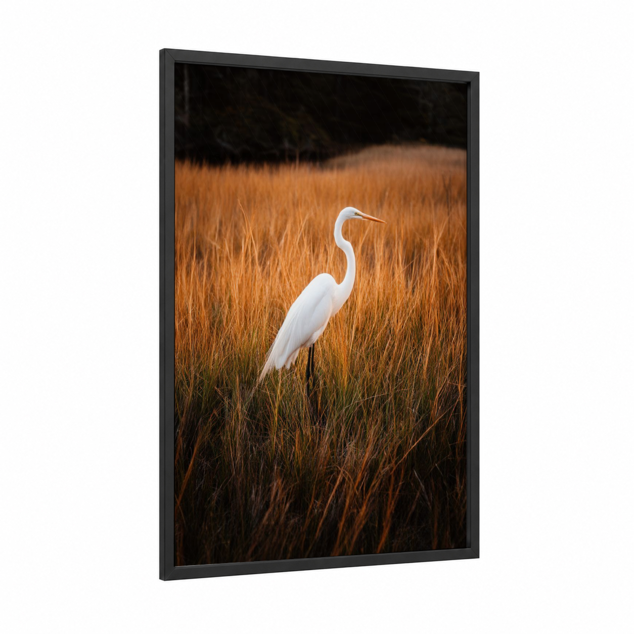 Golden Heron framed art print — black wood frame — white and gold palette