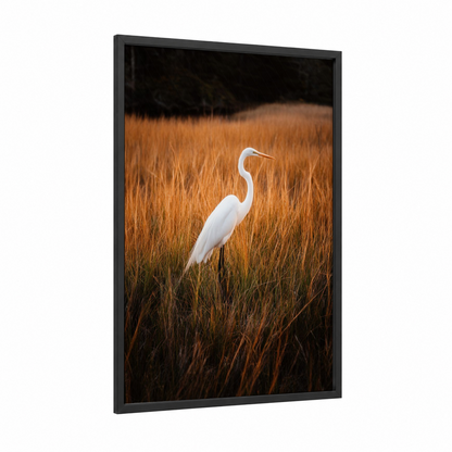 Golden Heron framed art print — black wood frame — white and gold palette
