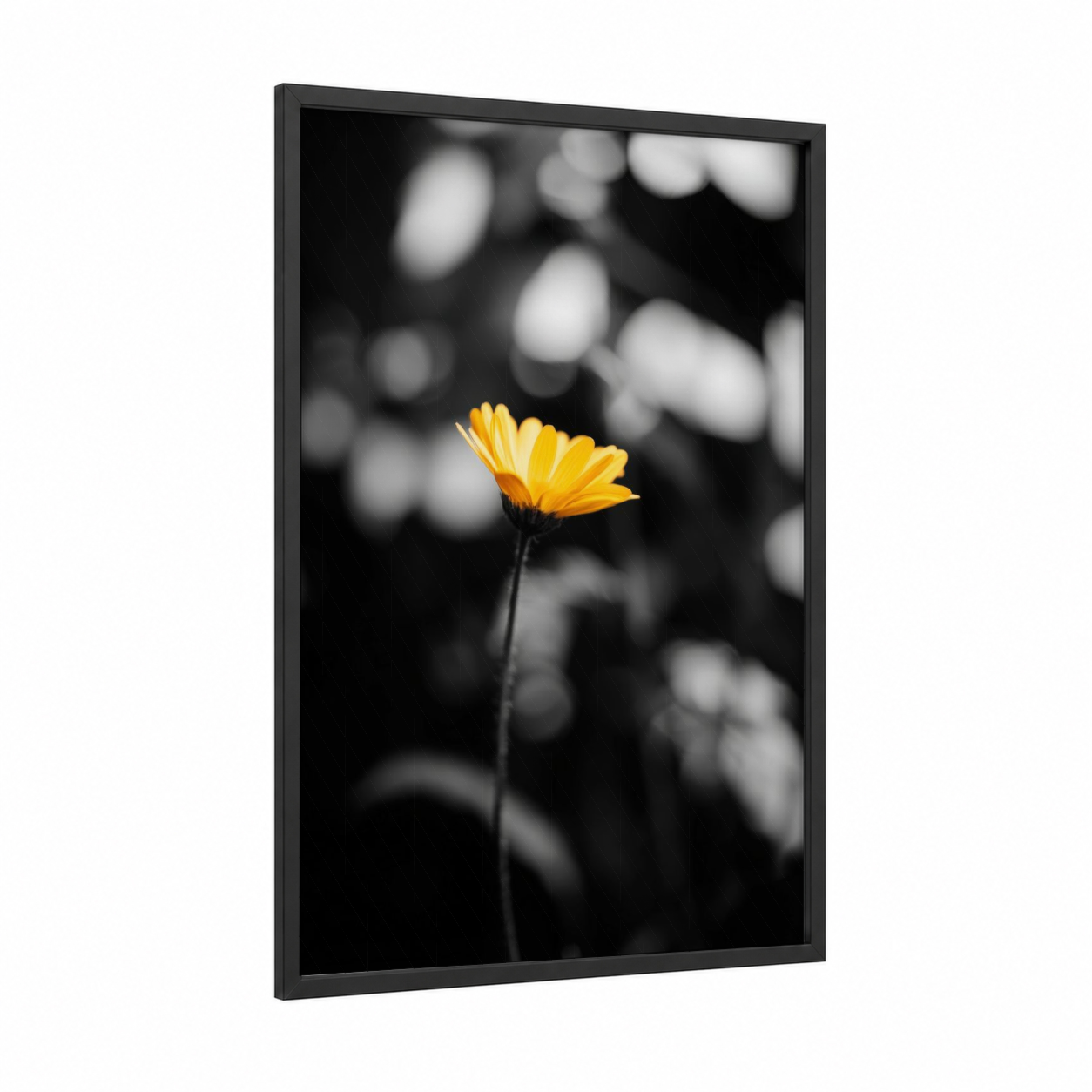 Golden Bloom Focus framed abstract flower print — black wood frame — yellow gold and black and white palette
