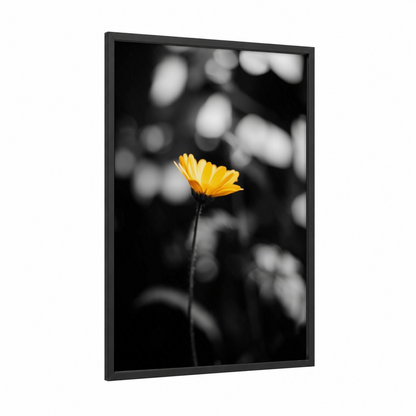 Golden Bloom Focus framed abstract flower print — black wood frame — yellow gold and black and white palette