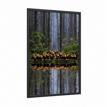 Toucan Gathering framed art print — black wood frame — dark green and gold palette