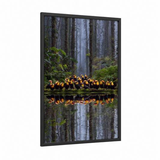 Toucan Gathering framed art print — black wood frame — dark green and gold palette