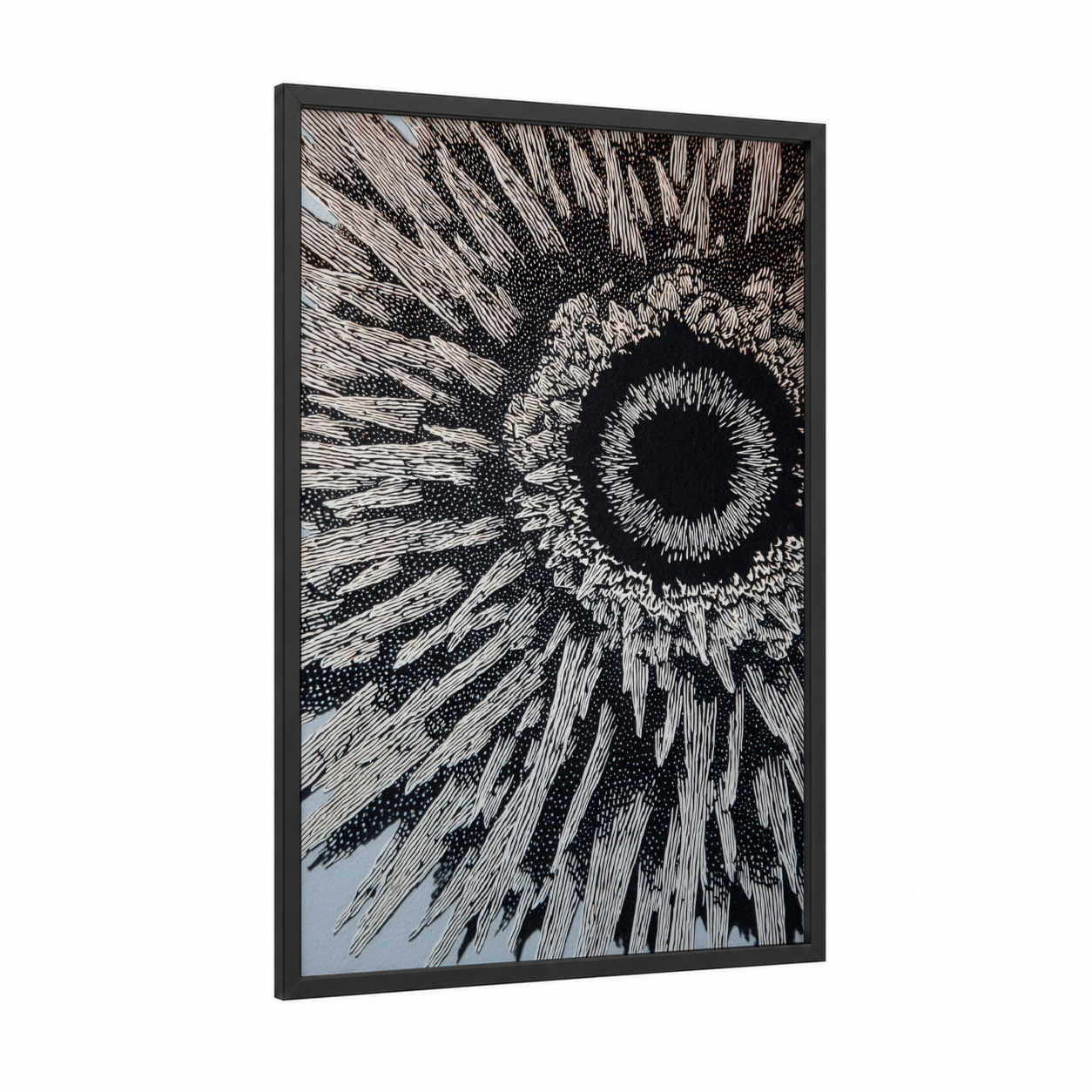Radiant Urchin framed sea urchin print — black wood frame — black and white palette