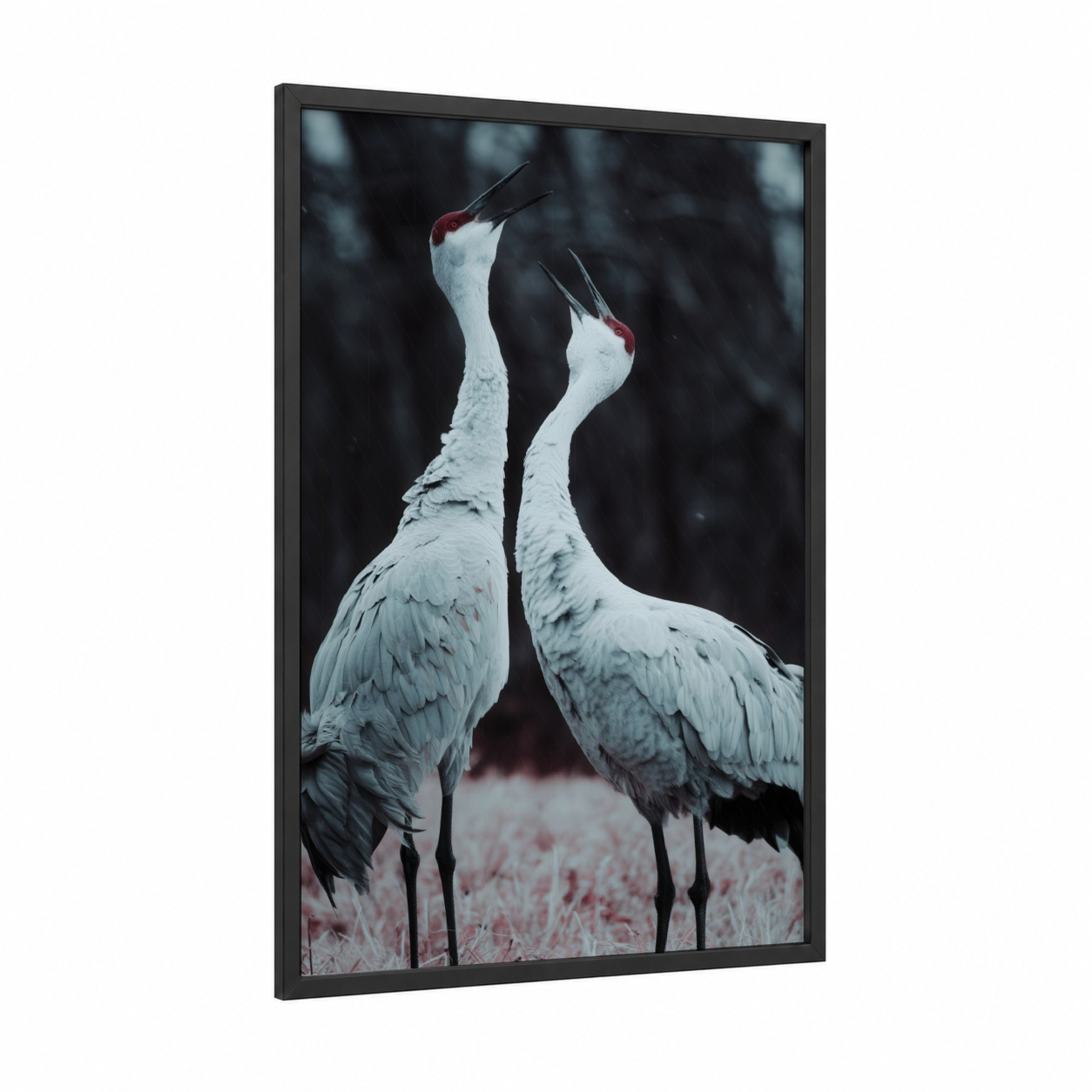 Snowy Crane Pair framed art print — black wood frame — white and gray palette