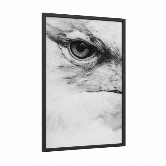 Piercing Seagull framed art print — black wood frame — black and white palette