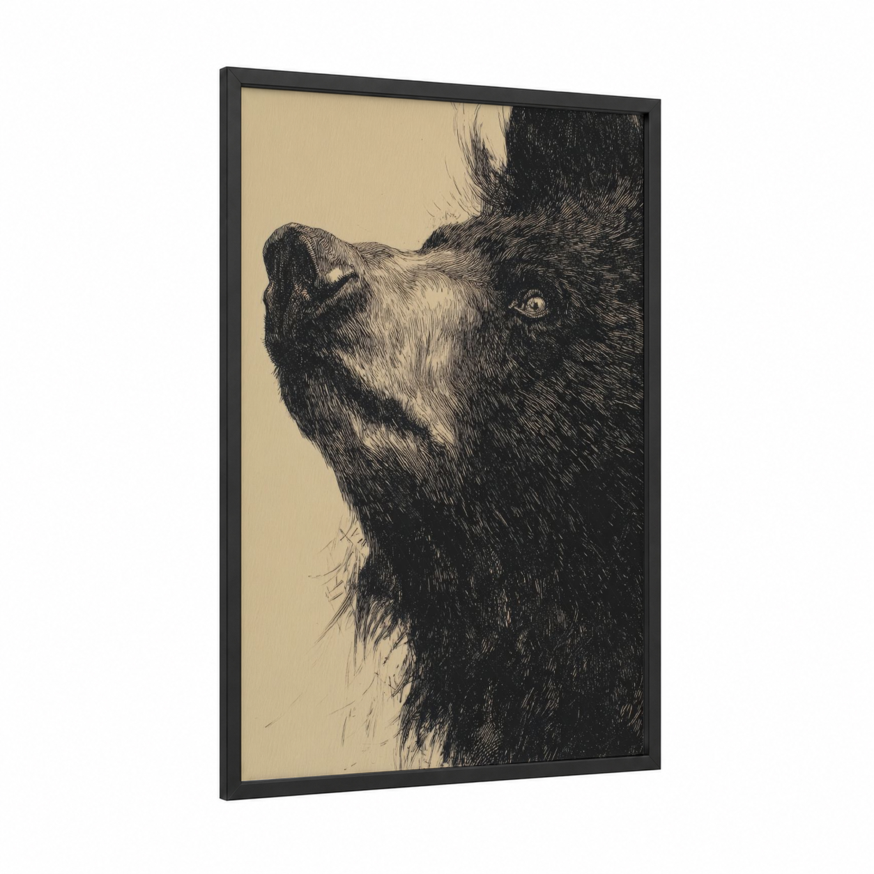 Upward Sloth Bear framed art print — black wood frame — black and white and cream palette