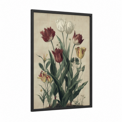 Vintage Tulip Variety framed art print — black wood frame — cream and maroon palette