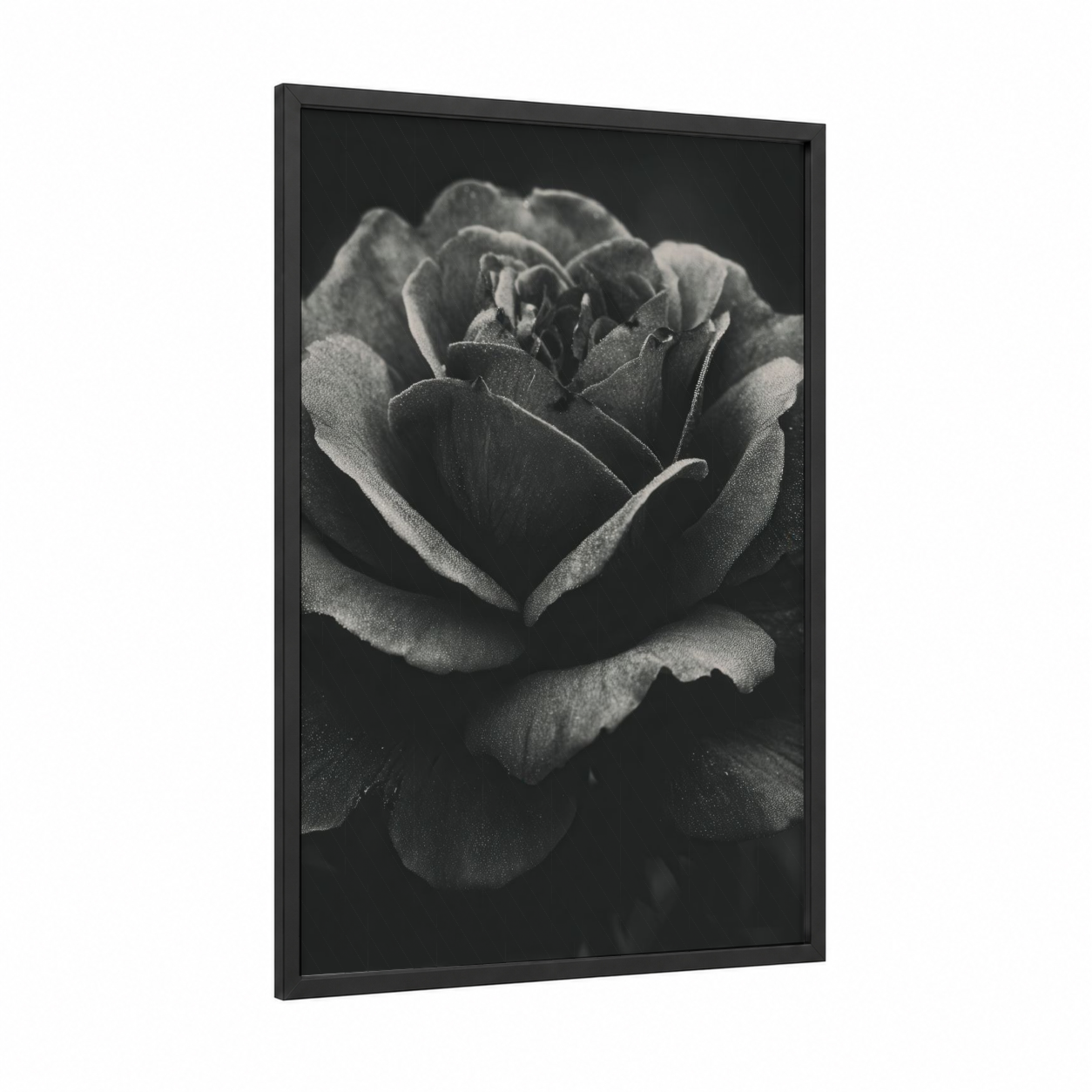 Rose Black and White framed roses print — black wood frame — black and white and gray palette