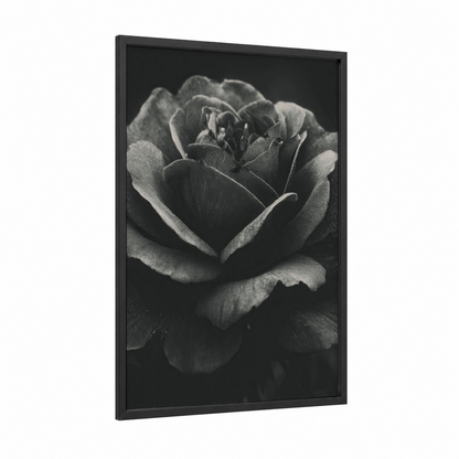 Rose Black and White framed roses print — black wood frame — black and white and gray palette