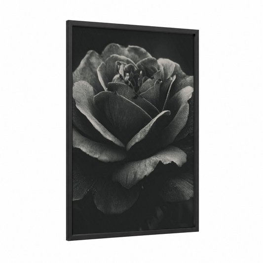 Rose Black and White framed roses print — black wood frame — black and white and gray palette