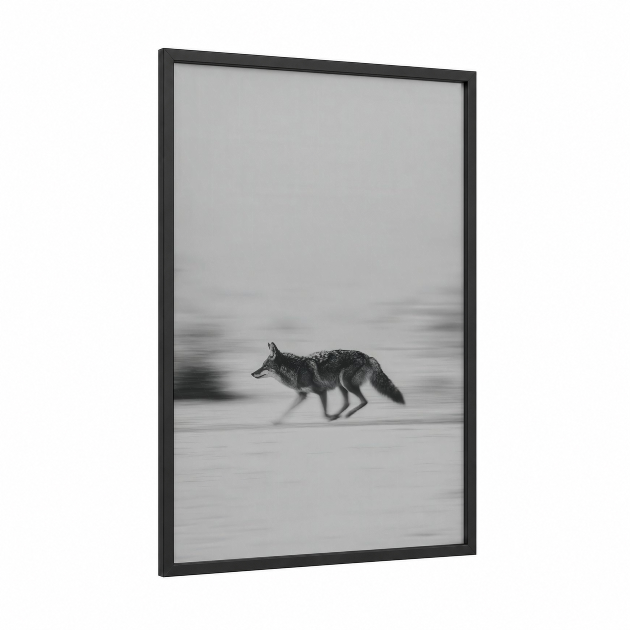 Snowy Coyote framed art print — black wood frame — black and white and gray palette