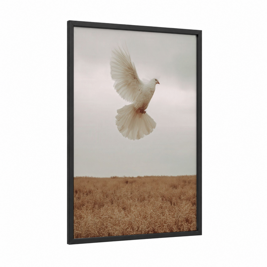 Peaceful Dove Flight framed art print — black wood frame — white and beige palette