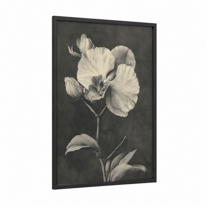 Ethereal Orchid framed art print — black wood frame — black and white and gray palette