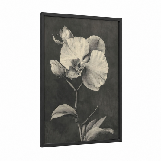 Ethereal Orchid framed art print — black wood frame — black and white and gray palette