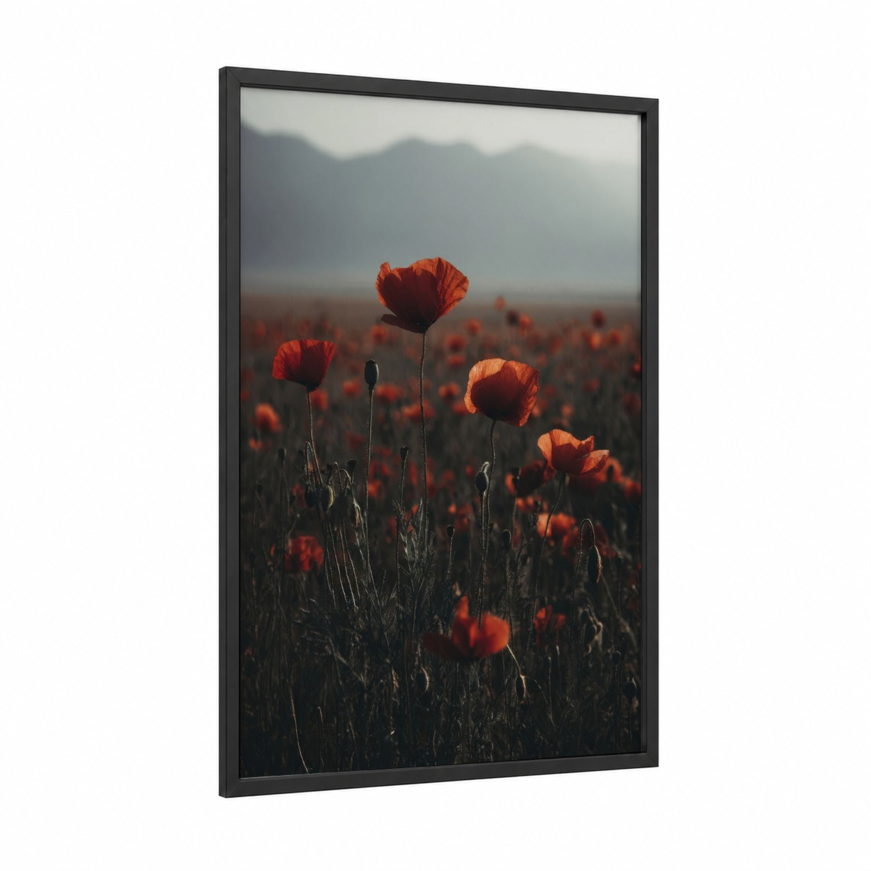 Crimson Poppy Field framed poppies print — black wood frame — red and gold palette