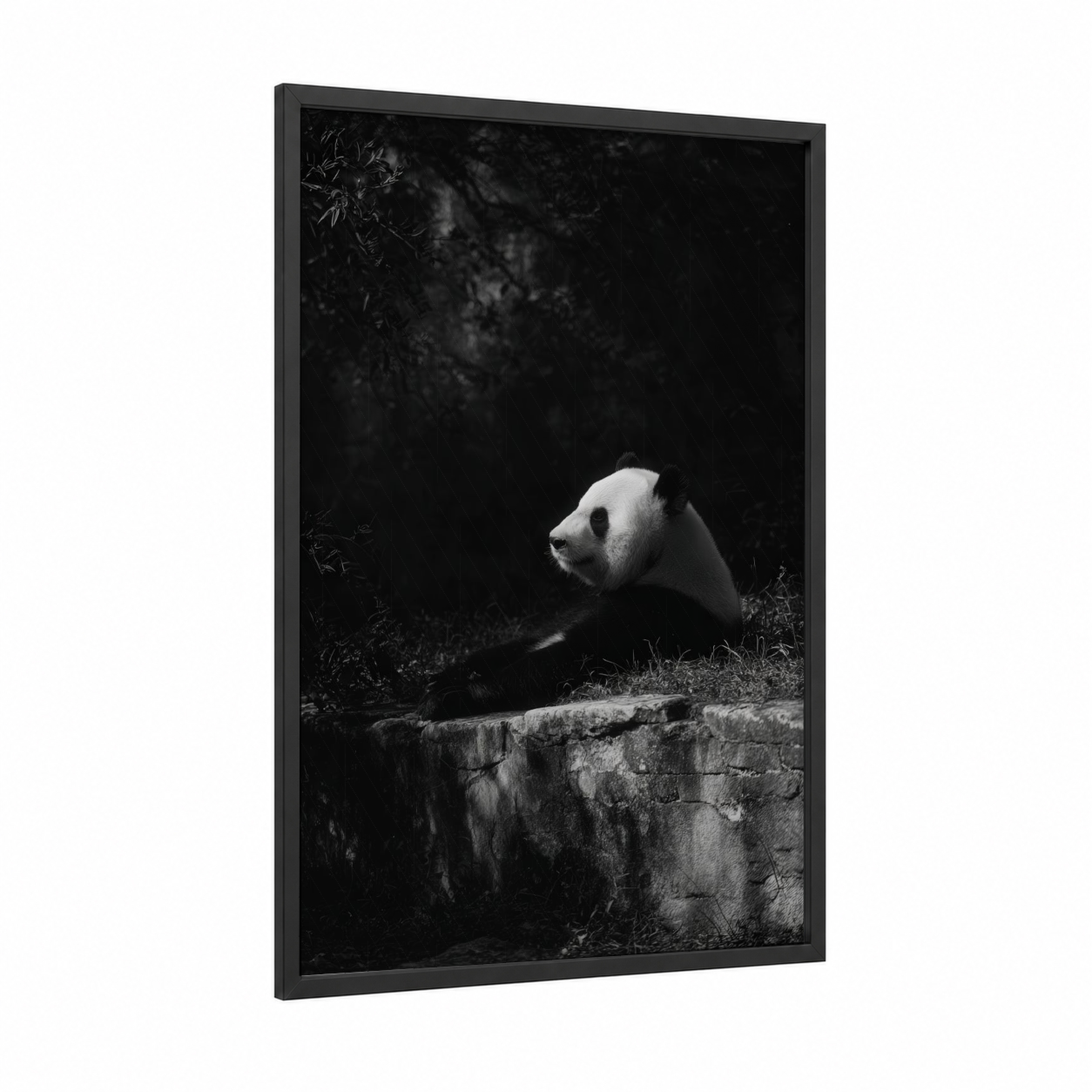 Contemplative Panda framed art print — black wood frame — black and white palette