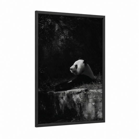 Contemplative Panda framed art print — black wood frame — black and white palette