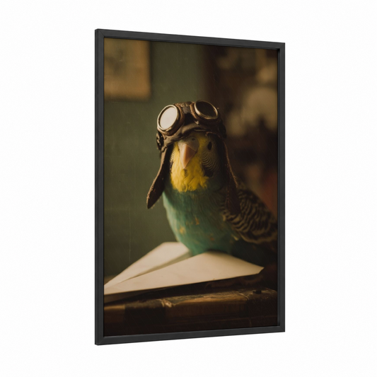 Aviator Budgerigar framed budgeridar print — black wood frame — gold and dark green palette