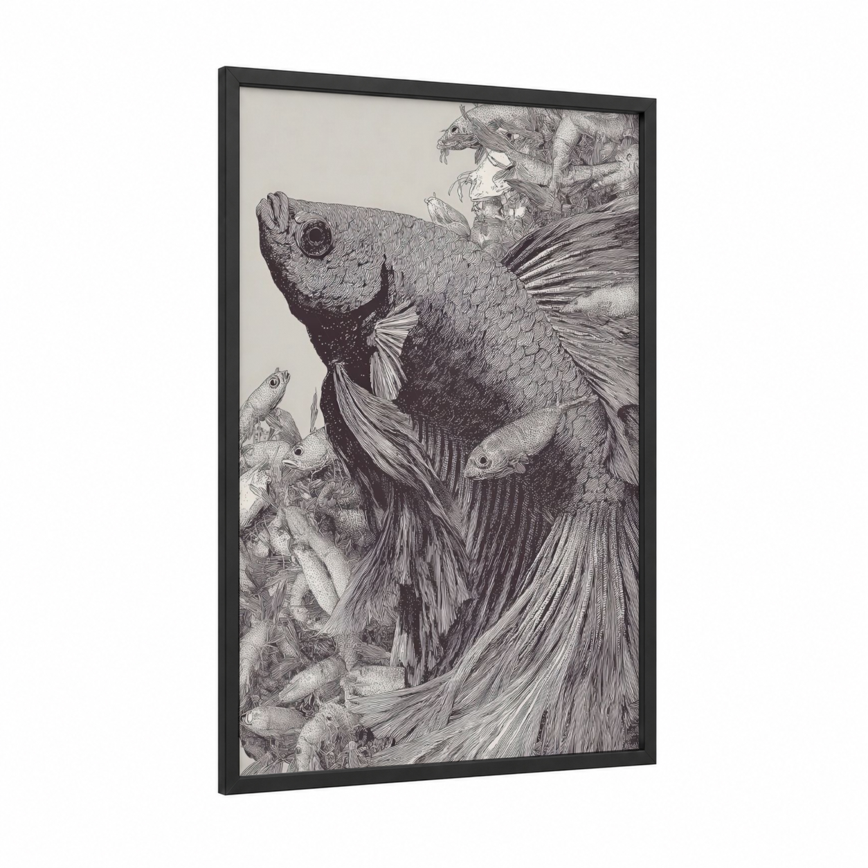 Siamese Fighter Study framed betta fish print — black wood frame — black and white palette