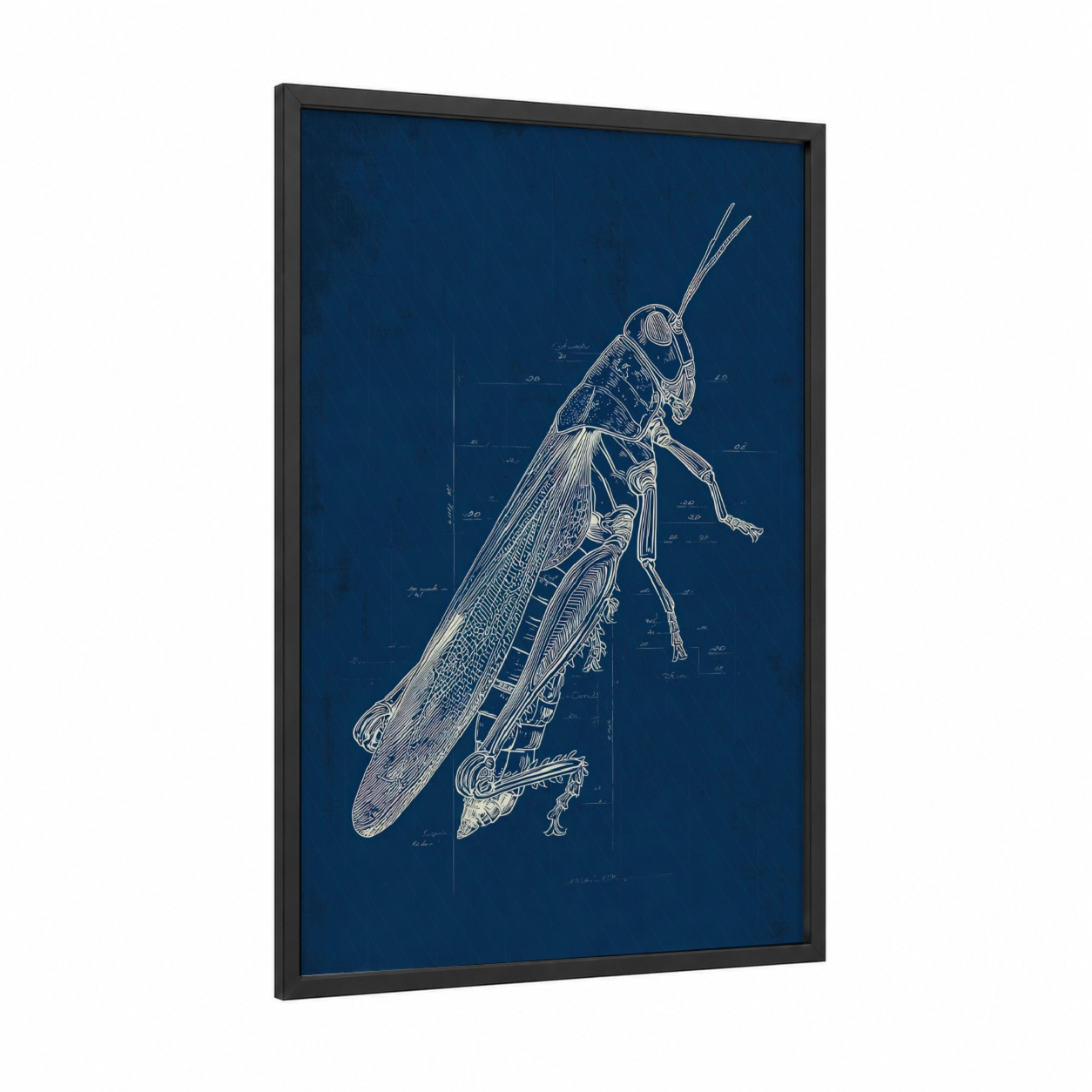 Blueprint Grasshopper framed art print — black wood frame — dark blue and white palette