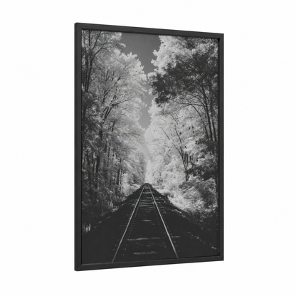 Forested Railway framed train tracks print — black wood frame — black and white and gray palette