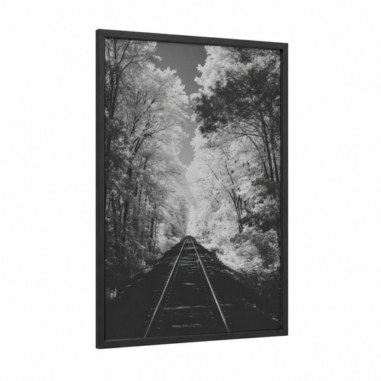 Forested Railway framed train tracks print — black wood frame — black and white and gray palette