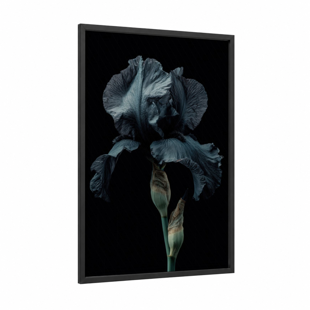 Midnight Iris framed art print — black wood frame — dark blue and gray and white palette