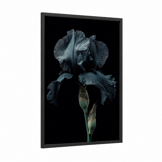 Midnight Iris framed art print — black wood frame — dark blue and gray and white palette